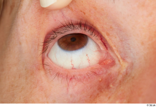 HD Eyes Judy Tranz eye eye texture eyelash iris pupil…